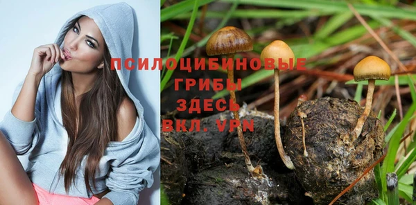 ECSTASY Михайловка