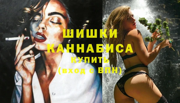 крисы Михайловск
