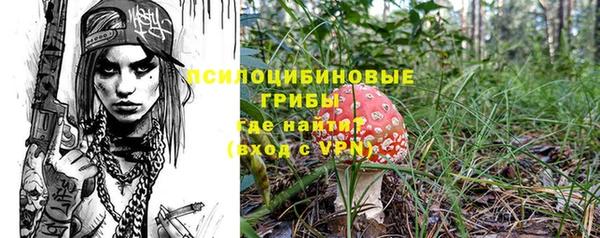 ECSTASY Михайловка
