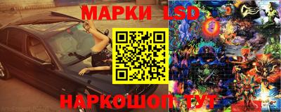 тгк Дубна