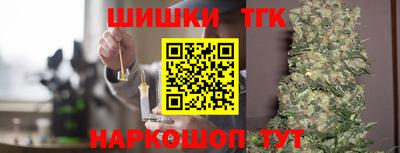 тгк Дубна