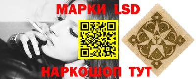 тгк Дубна
