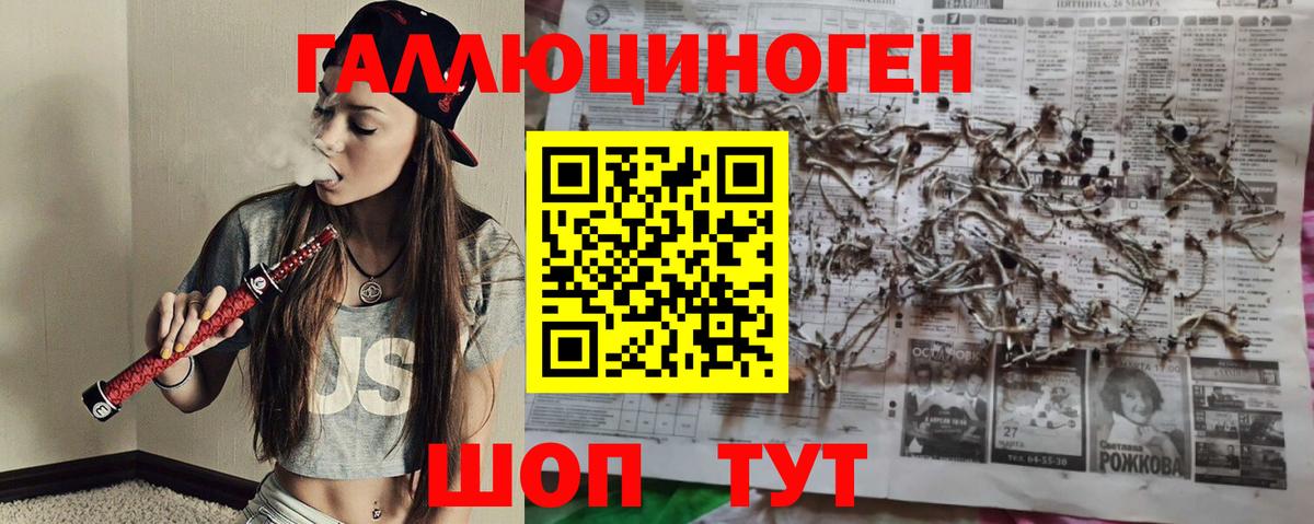 купить наркотик  Галлюциногенные грибы Magic Shrooms  Вход с VPN  Псилоцибиновые грибы Cubensis  Нижнеудинск 